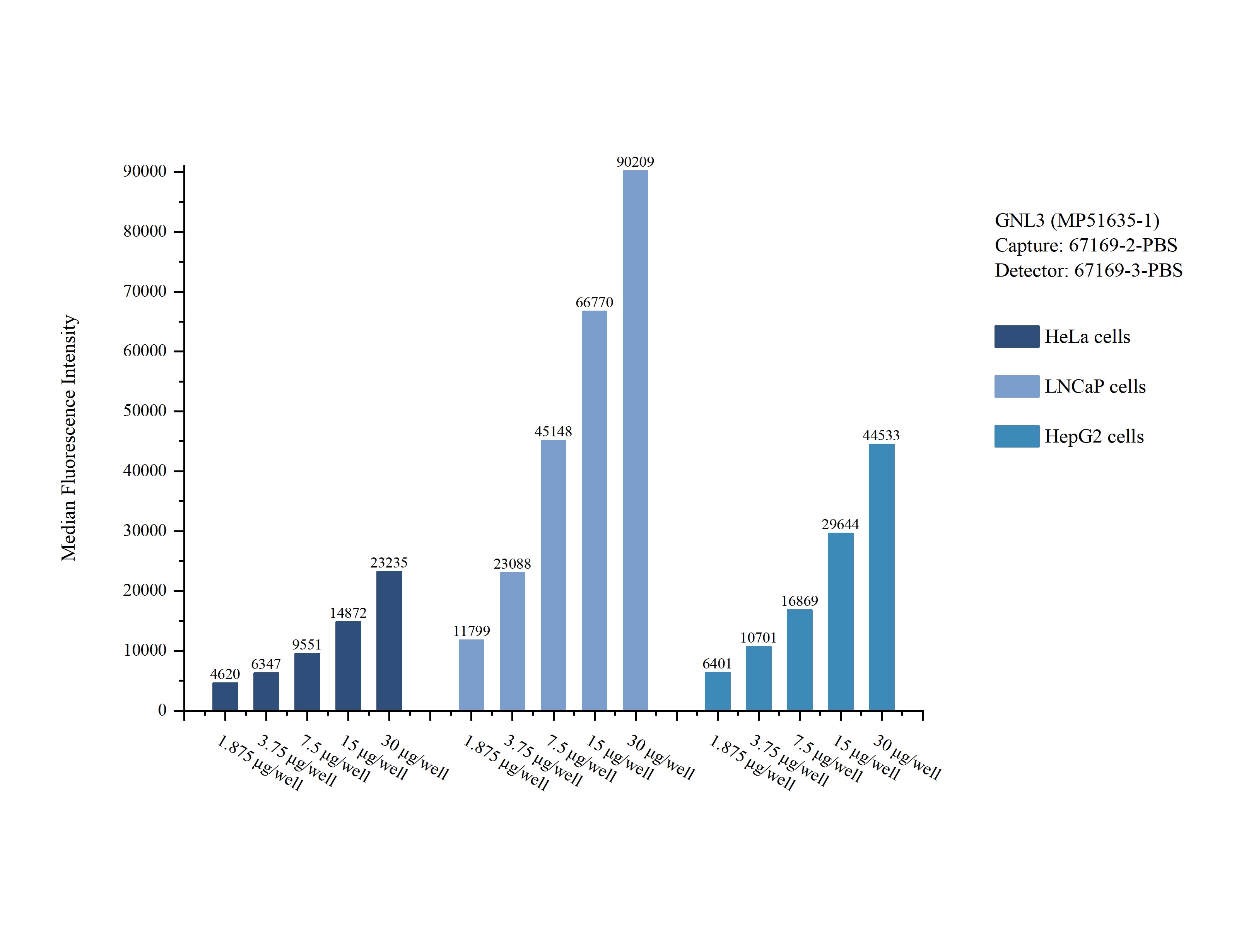 Cytometric bead array sample test of MP51635-1, GNL3 Monoclonal Matched Antibody Pair, PBS Only. Capture antibody: 67169-2-PBS. Detection antibody: 67169-3-PBS.