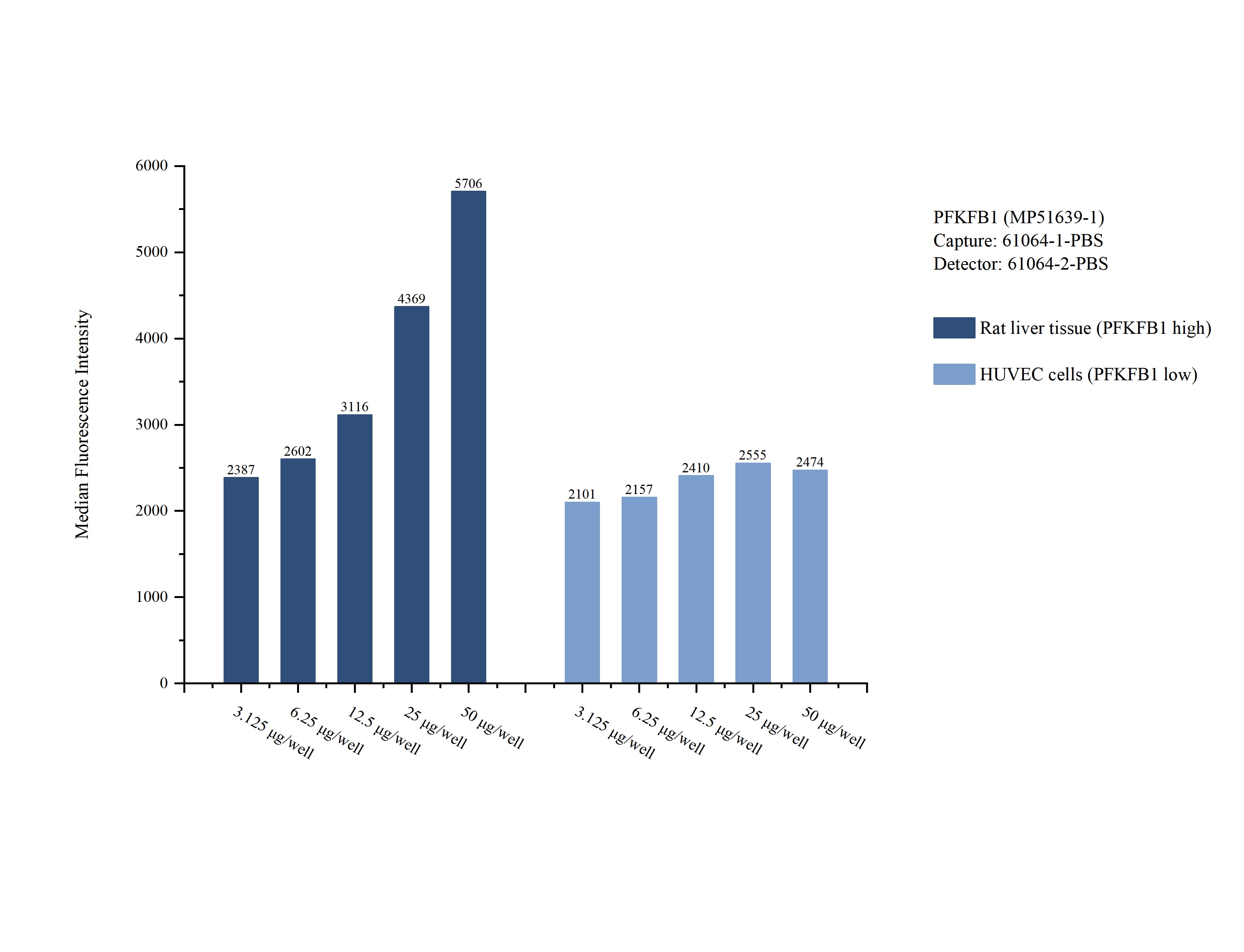 Cytometric bead array sample test of MP51639-1, PFKFB1 Monoclonal Matched Antibody Pair, PBS Only. Capture antibody: 61064-1-PBS. Detection antibody: 61064-2-PBS. Cytometric bead array sample test of MP51639-1