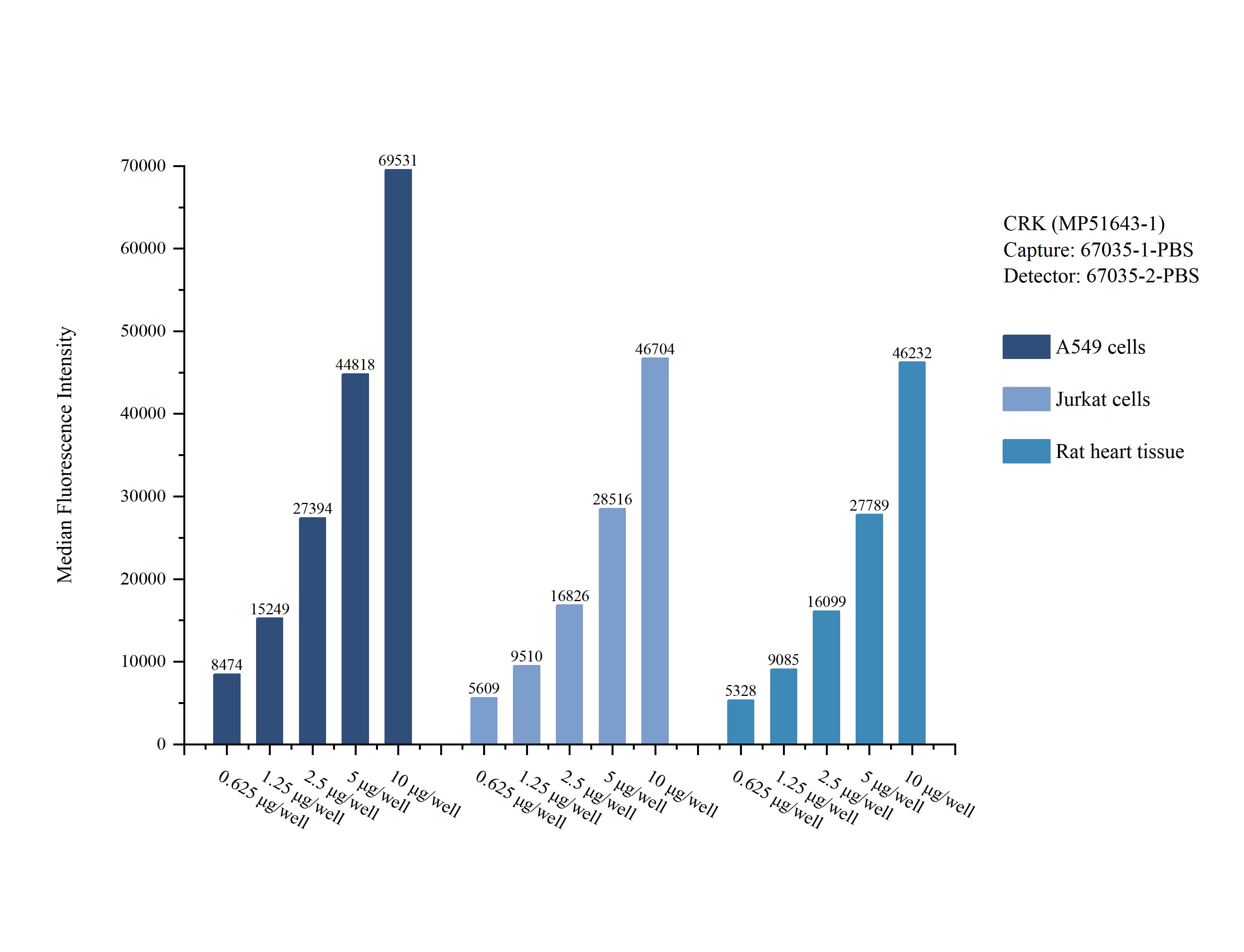 Cytometric bead array sample test of MP51643-1