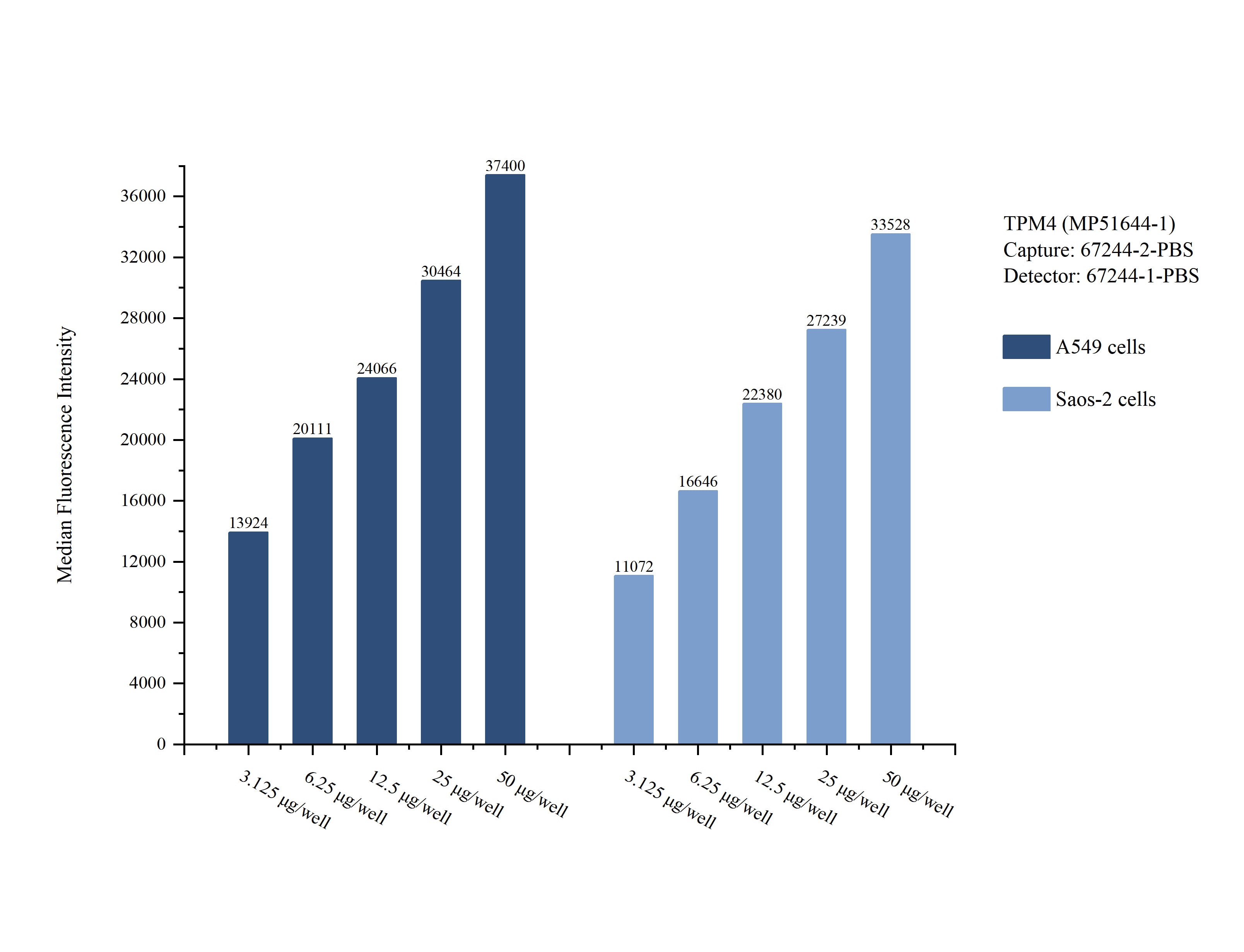 Cytometric bead array sample test of MP51644-1
