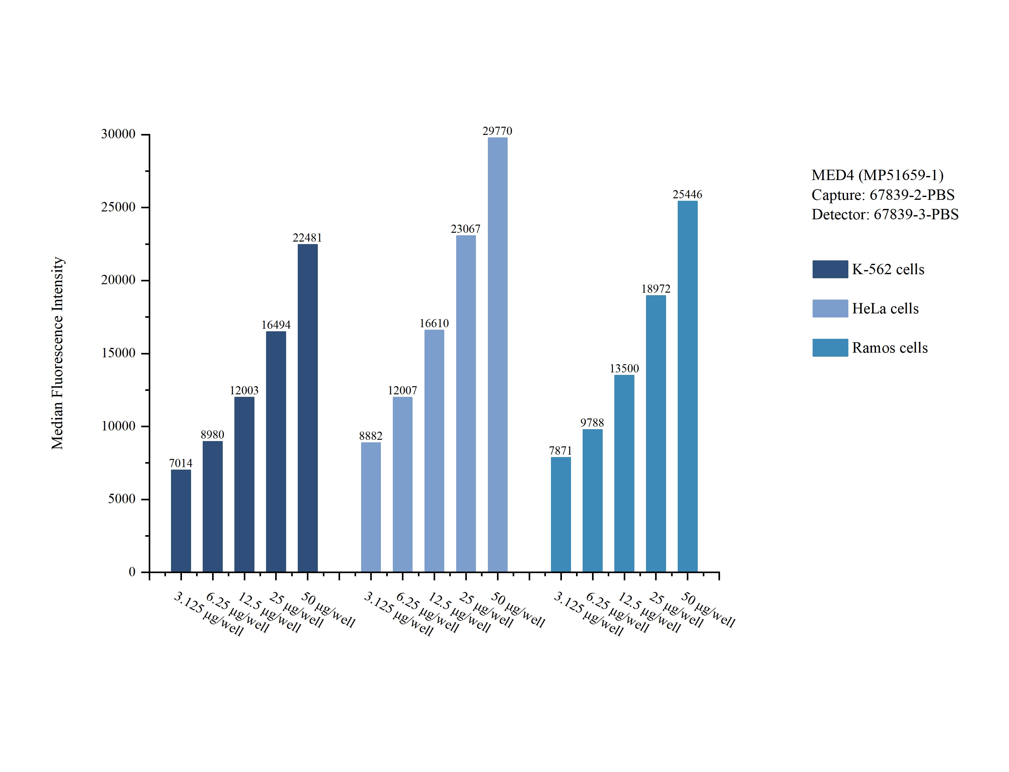 Cytometric bead array sample test of MP51659-1 Cytometric bead array sample test of MP51659-1