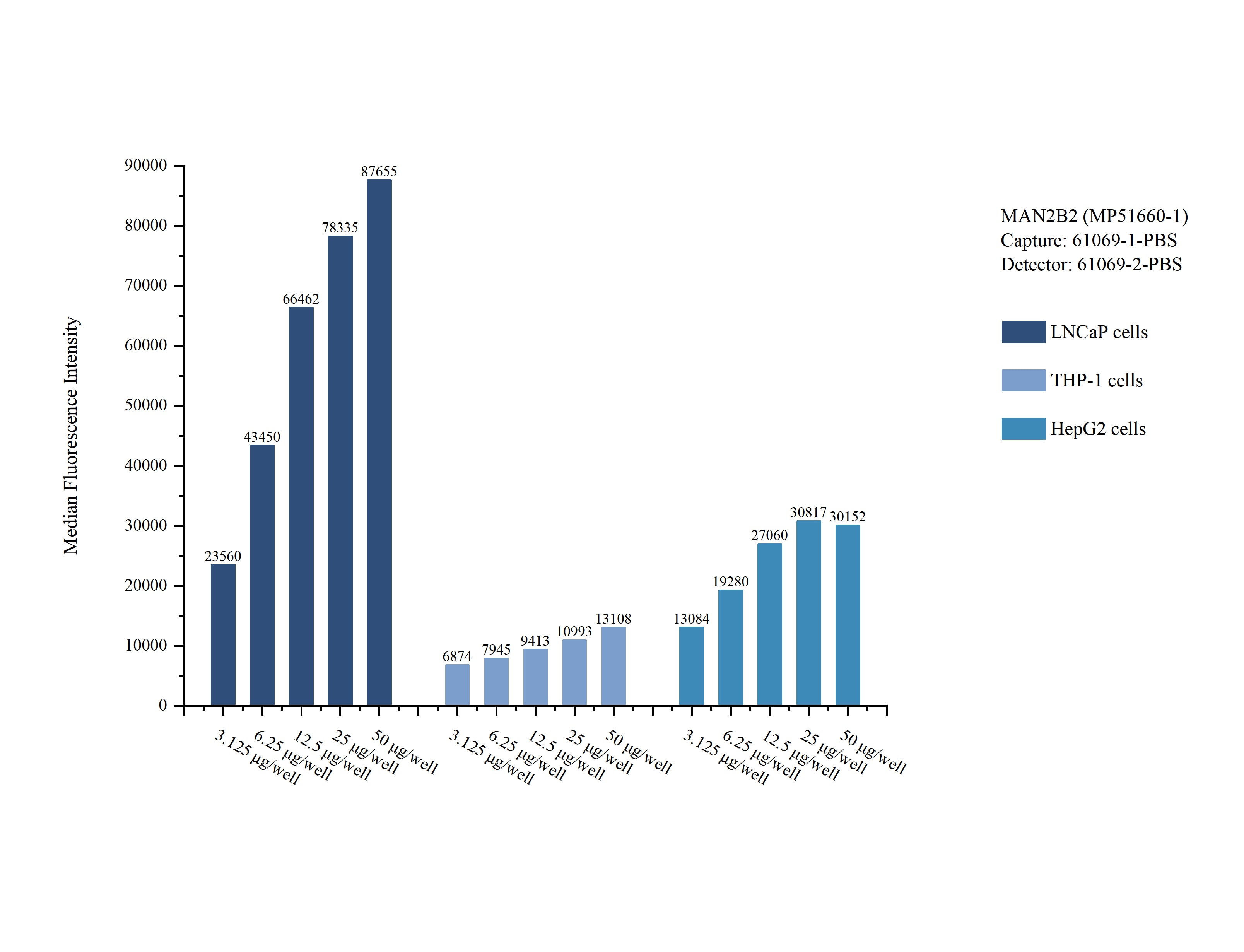 Cytometric bead array sample test of MP51660-1, MAN2B2 Monoclonal Matched Antibody Pair, PBS Only. Capture antibody: 61069-1-PBS. Detection antibody: 61069-2-PBS. Cytometric bead array sample test of MP51660-1