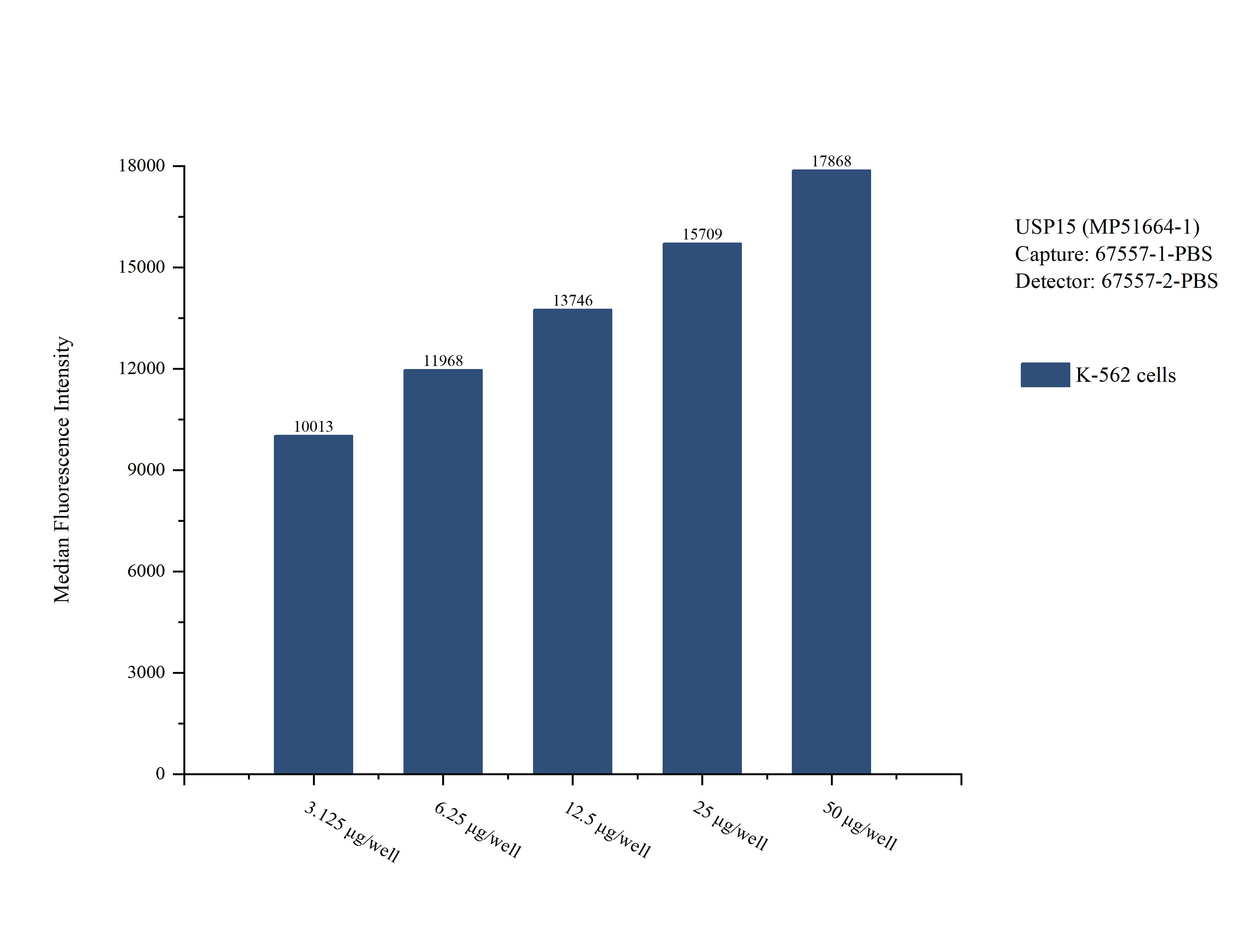 Cytometric bead array sample test of MP51664-1, USP15 Monoclonal Matched Antibody Pair, PBS Only. Capture antibody: 67557-1-PBS. Detection antibody: 67557-2-PBS. Cytometric bead array sample test of MP51664-1, USP15 Monoclonal Matched Antibody Pair, PBS Only. Capture antibody: 67557-1-PBS. Detection antibody: 67557-2-PBS.