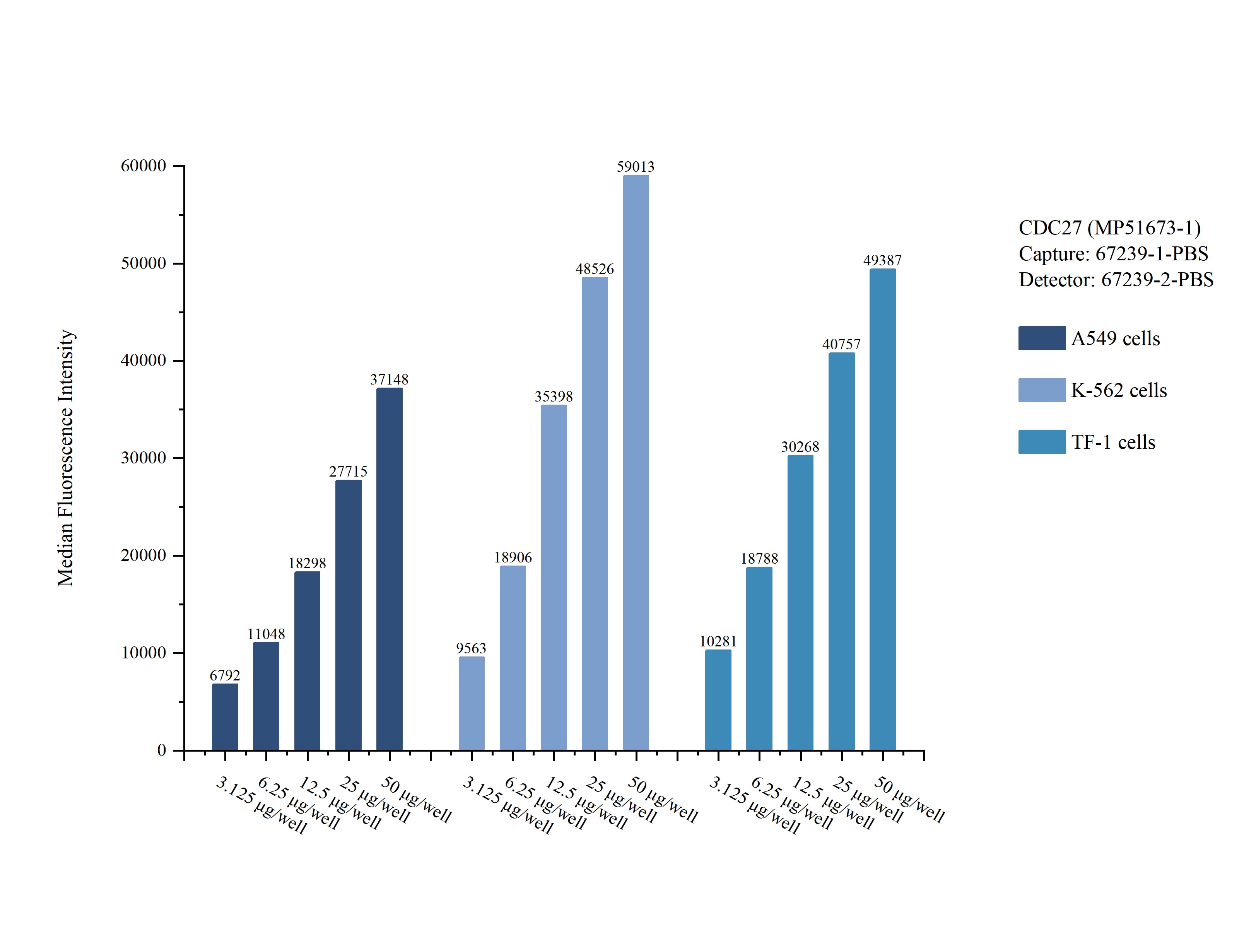 Cytometric bead array sample test of MP51673-1