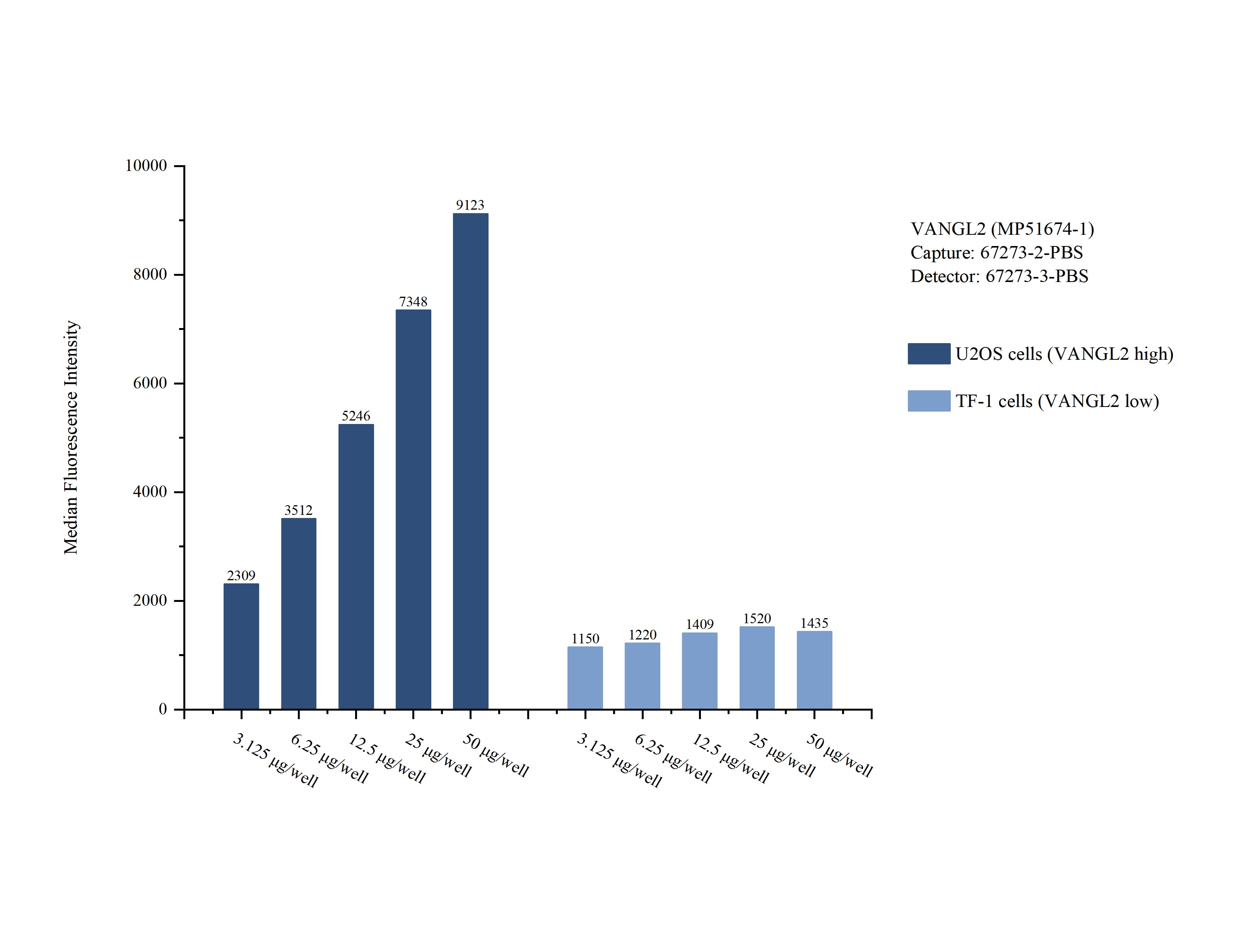 Cytometric bead array sample test of MP51674-1