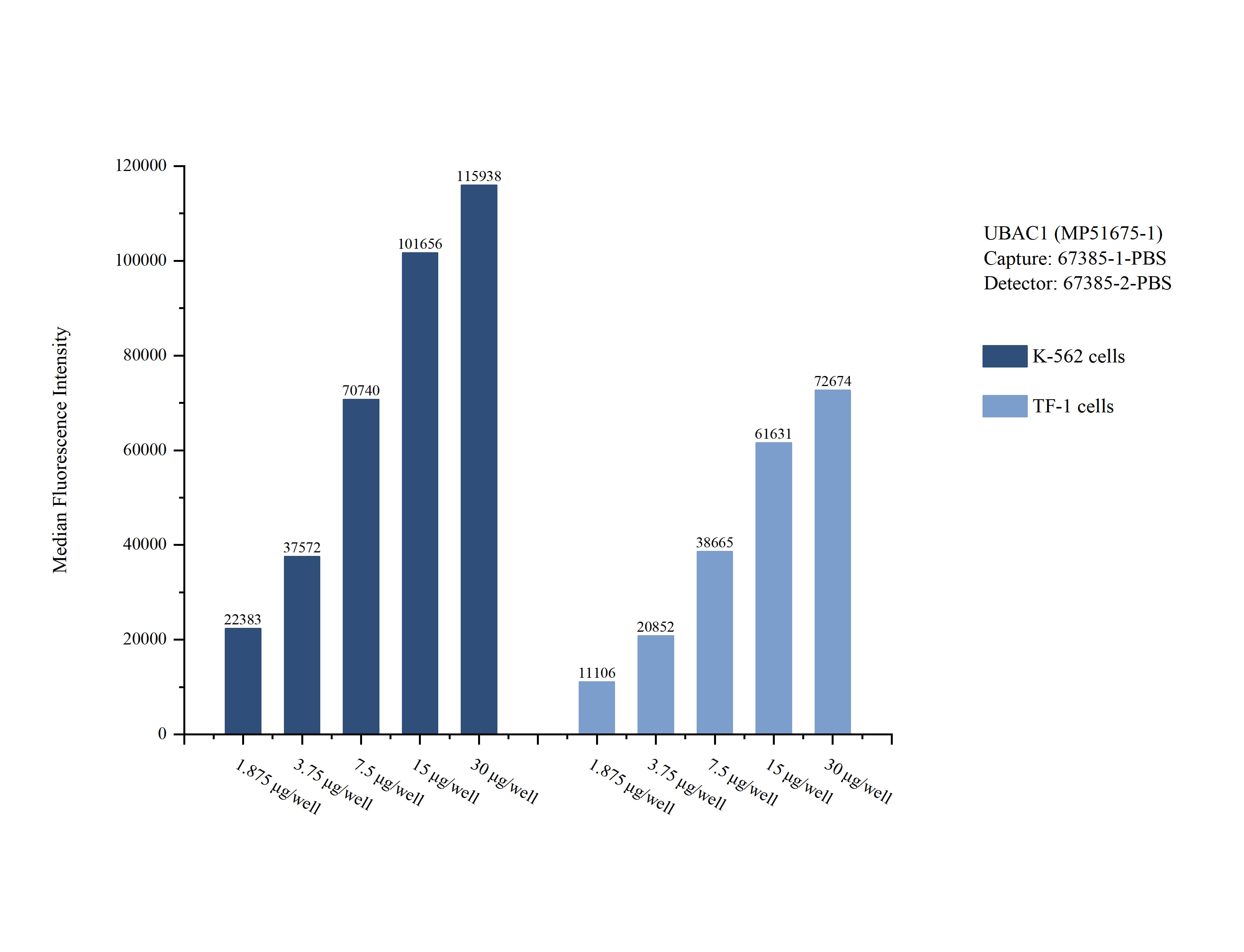 Cytometric bead array sample test of MP51675-1