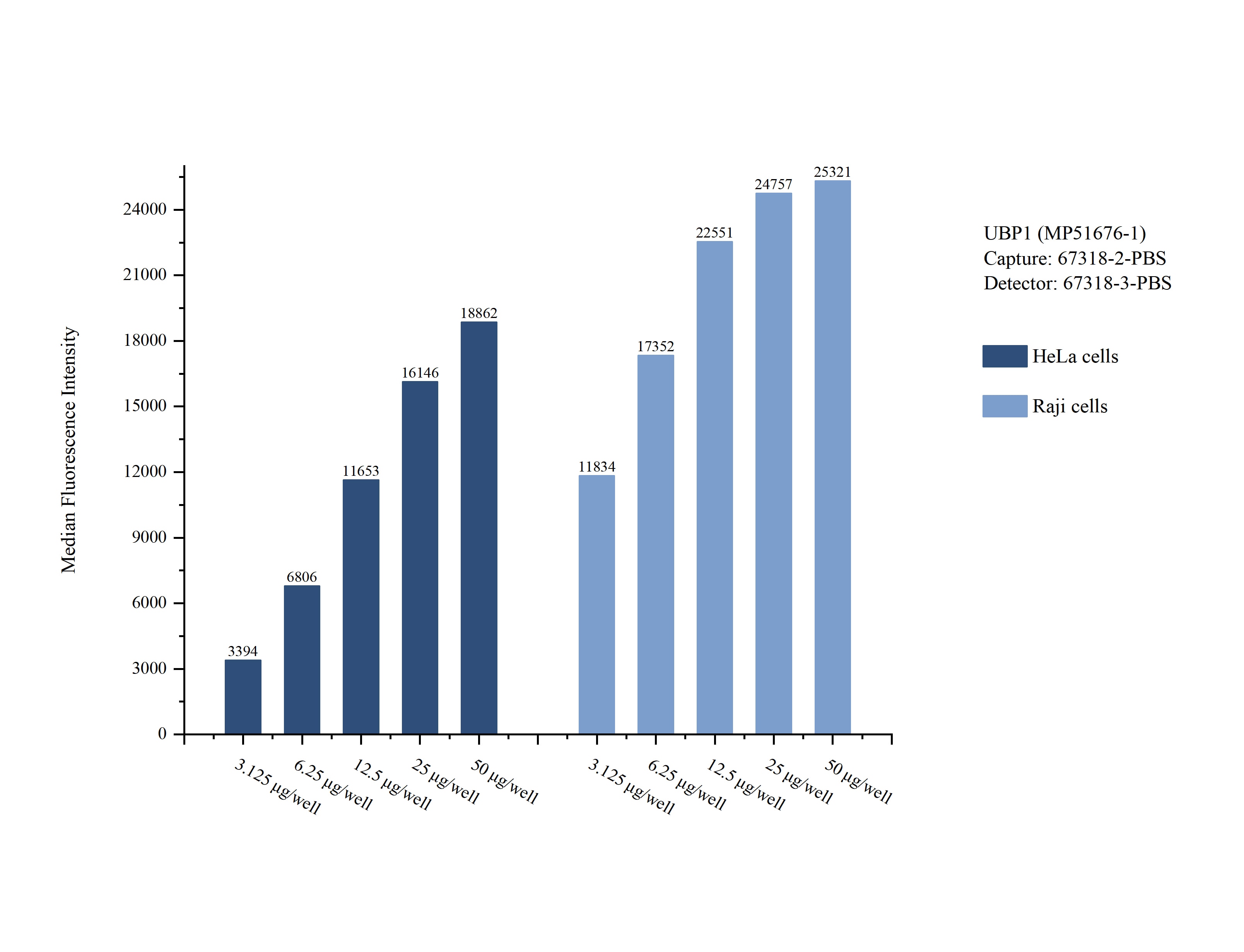 Cytometric bead array sample test of MP51676-1, UBP1 Monoclonal Matched Antibody Pair, PBS Only. Capture antibody: 67318-2-PBS. Detection antibody: 67318-3-PBS. 