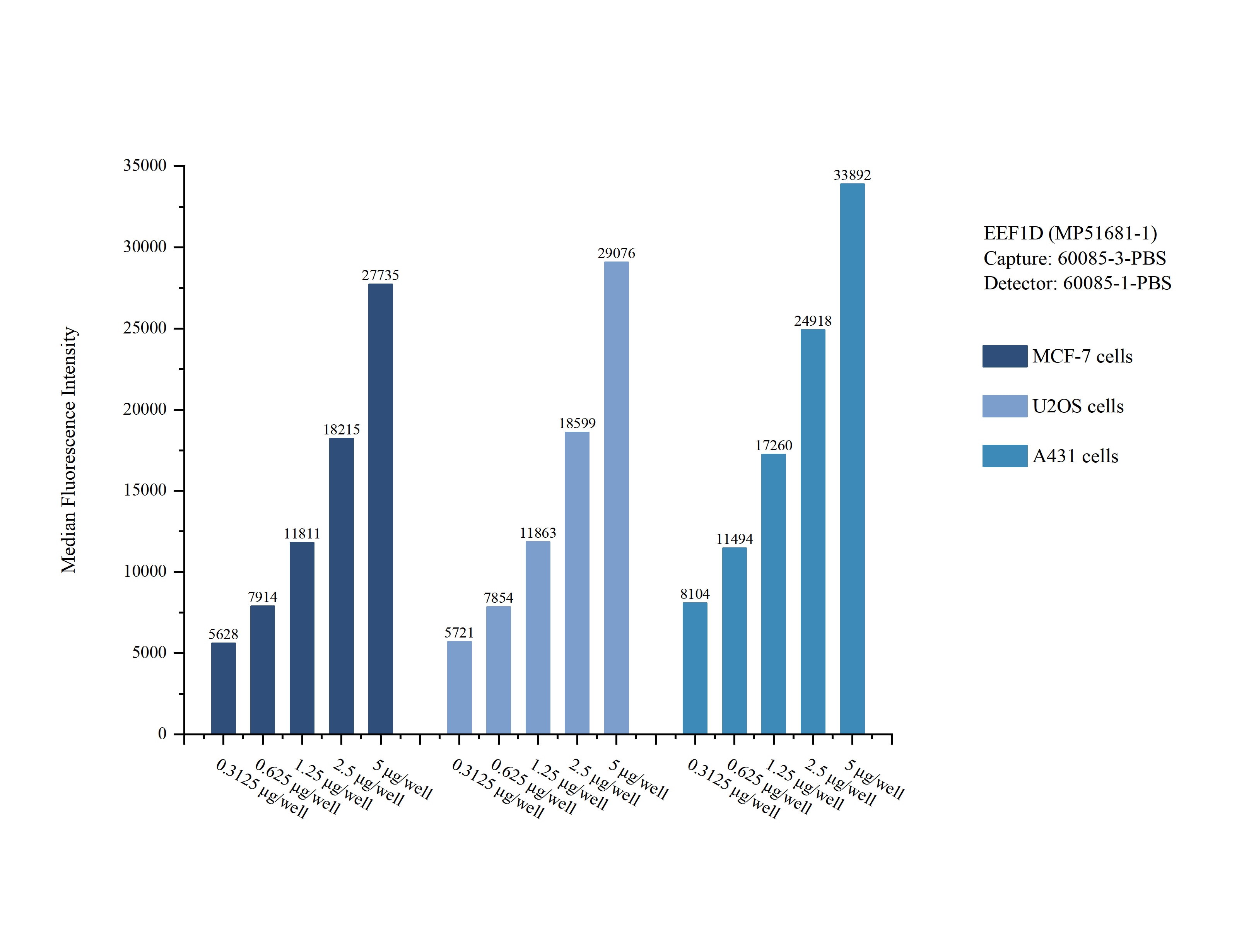Cytometric bead array sample test of MP51681-1