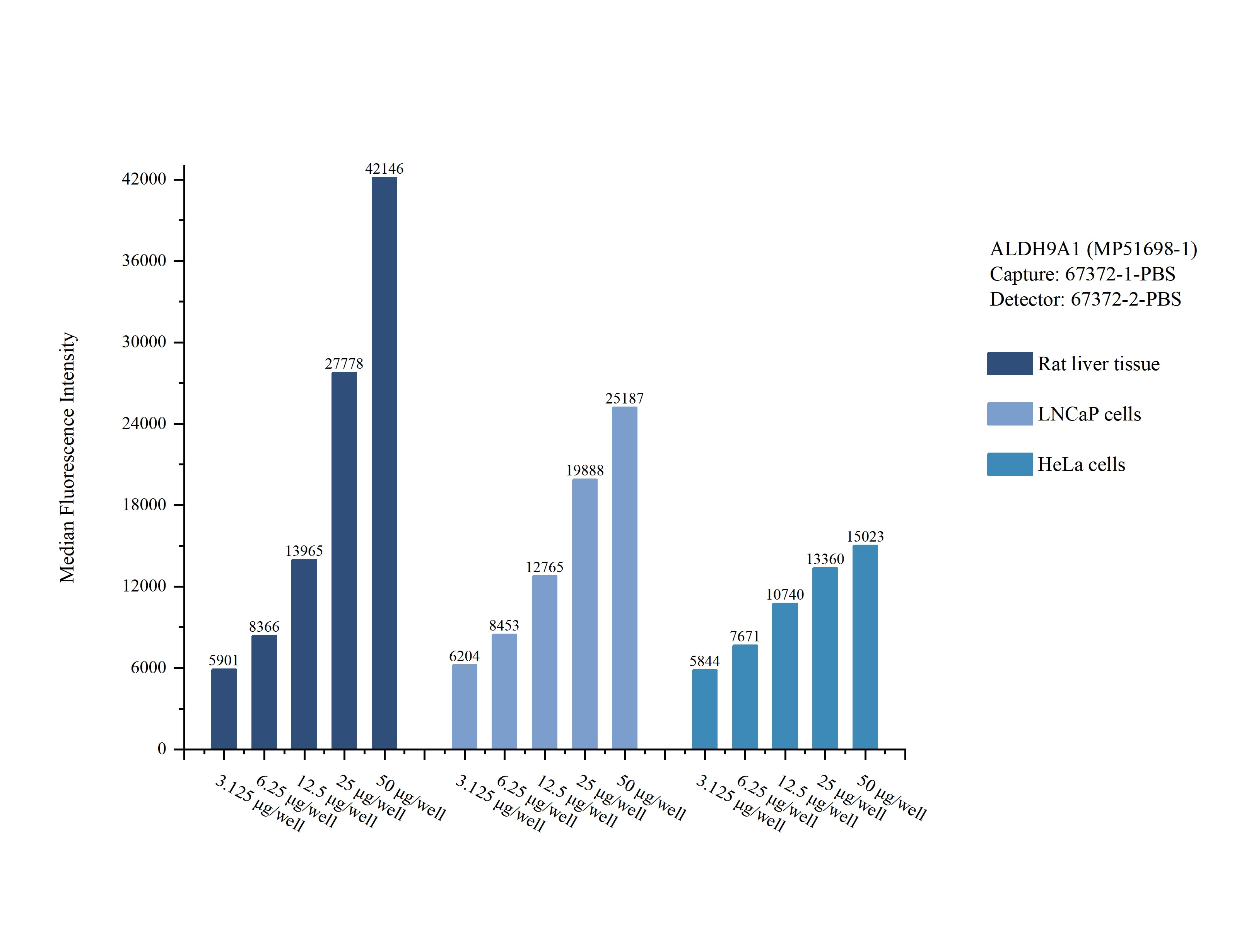 Cytometric bead array sample test of MP51698-1