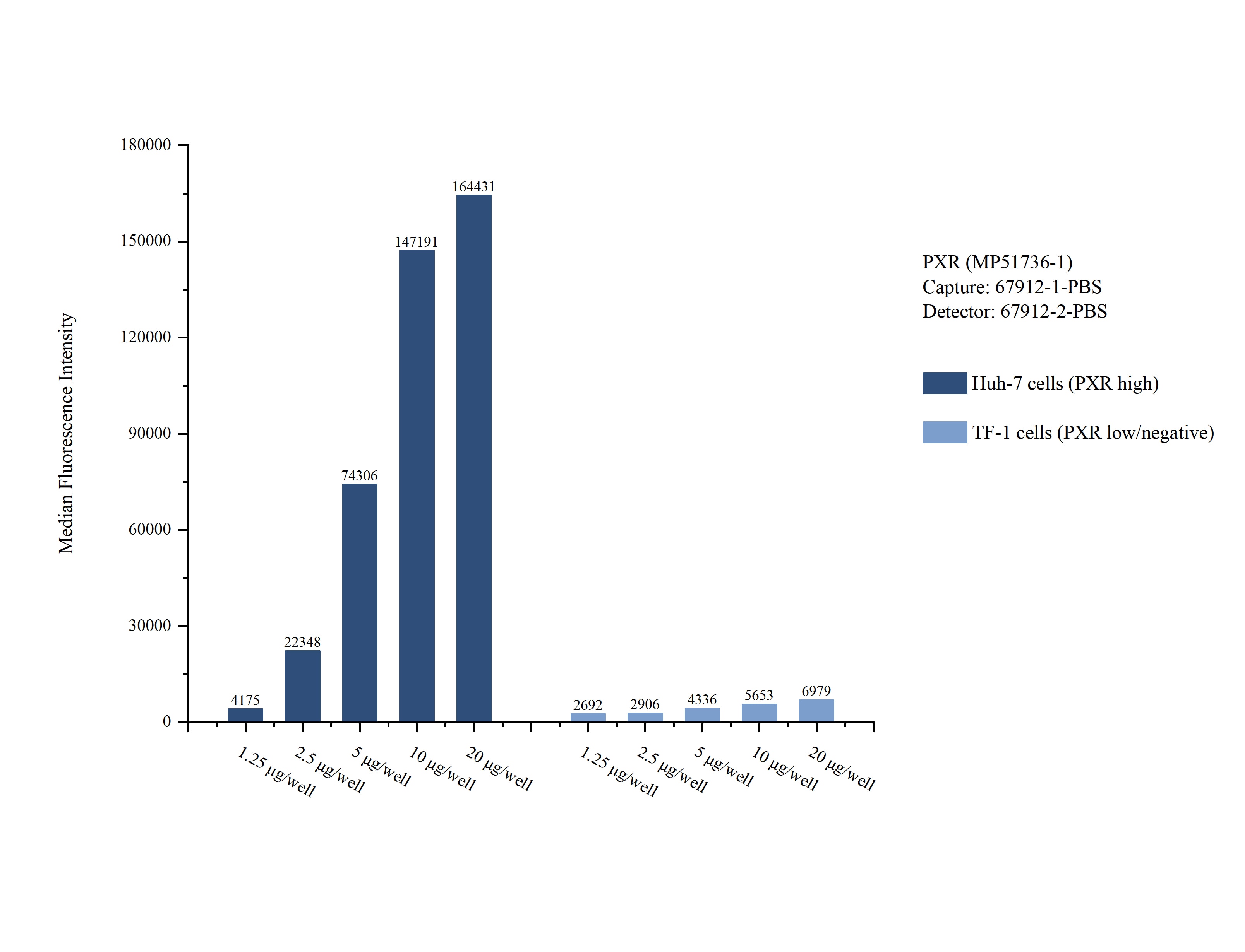 Cytometric bead array sample test of MP51736-1