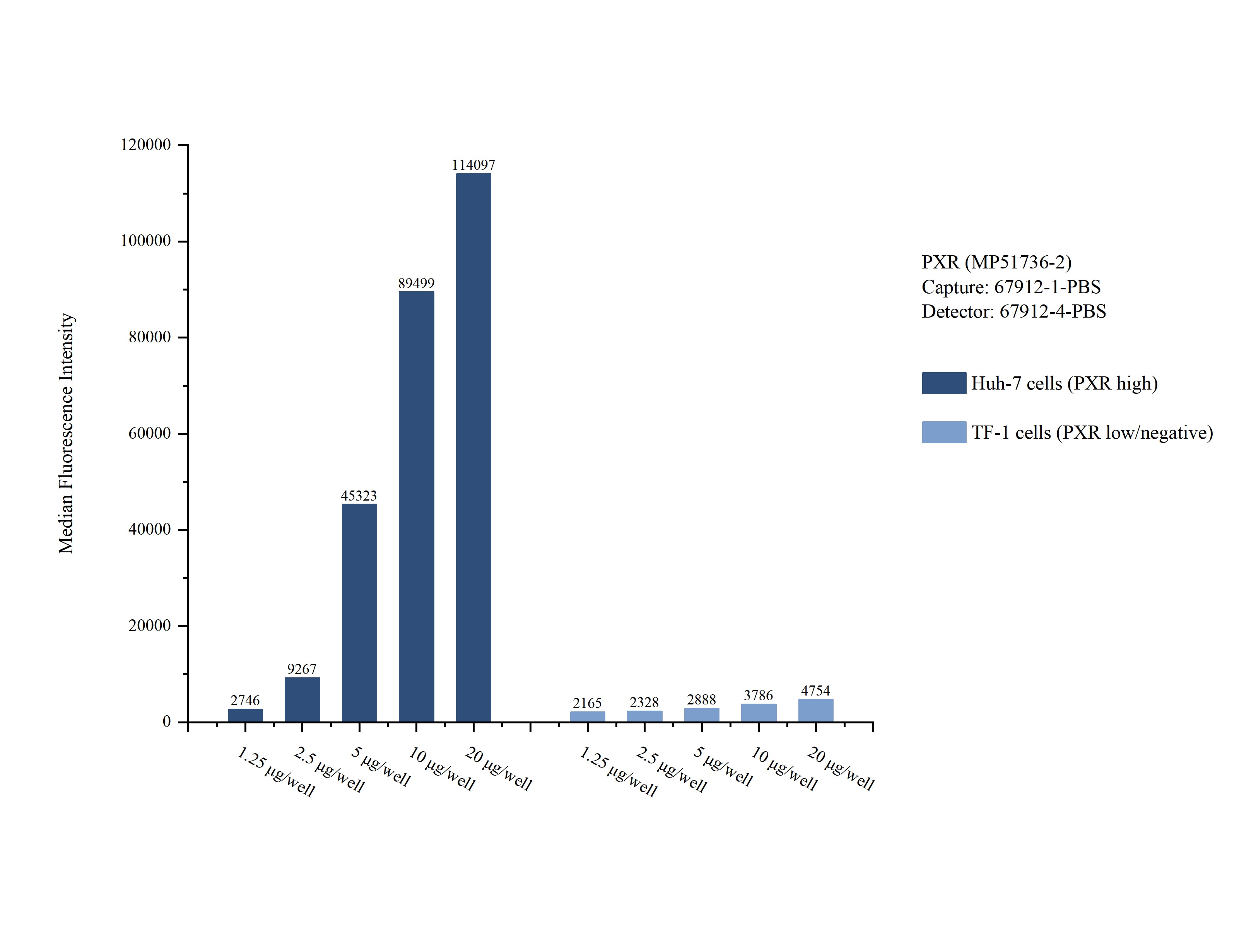 Cytometric bead array sample test of MP51736-2