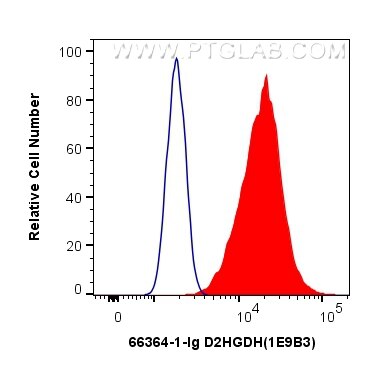 Flow cytometry (FC) experiment of HepG2 cells using D2HGDH Monoclonal antibody (66364-1-Ig)