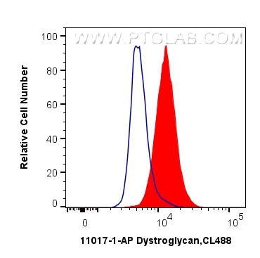 Flow cytometry (FC) experiment of HeLa cells using Dystroglycan Polyclonal antibody (11017-1-AP)