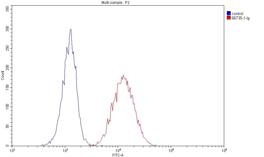 Dystroglycan