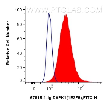 Flow cytometry (FC) experiment of HCT 116 cells using DAPK1 Monoclonal antibody (67815-1-Ig)