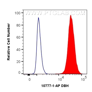 Flow cytometry (FC) experiment of SH-SY5Y cells using DBH Polyclonal antibody (10777-1-AP)