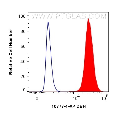 FC experiment of SH-SY5Y using 10777-1-AP