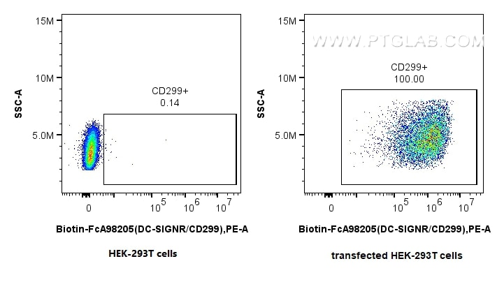 1x10^6 untransfected (left) or CD299-transfected HEK-293T (right) cells were surface stained with 0.25 ug Biotin Anti-Human DC-SIGNR/CD299 Rabbit RecAb (Biotin-FcA98205, Clone: 241683G8) or FcZero-rAb™ Biotin Rabbit IgG Isotype Control Recombinant Antibody (Biotin-FcA98136, Clone: 240953C9), and PE Streptavidin (Cat.No. PF00021). Cells were not fixed. Flow cytometry (FC) experiment of Transfected HEK-293T cells using FcZero-rAb™ Biotin Anti-Human DC-SIGNR/CD299 Rabbi (Biotin-FcA98205)