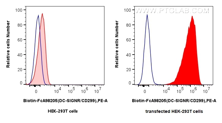1x10^6 untransfected (left) or CD299-transfected HEK-293T (right) cells were surface stained with 0.25 ug Biotin Anti-Human DC-SIGNR/CD299 Rabbit RecAb (Biotin-FcA98205, Clone: 241683G8) (red) or FcZero-rAb™ Biotin Rabbit IgG Isotype Control Recombinant Antibody (Biotin-FcA98136, Clone: 240953C9) (blue), and PE Streptavidin (Cat.No. PF00021). Cells were not fixed. Flow cytometry (FC) experiment of Transfected HEK-293T cells using FcZero-rAb™ Biotin Anti-Human DC-SIGNR/CD299 Rabbi (Biotin-FcA98205)