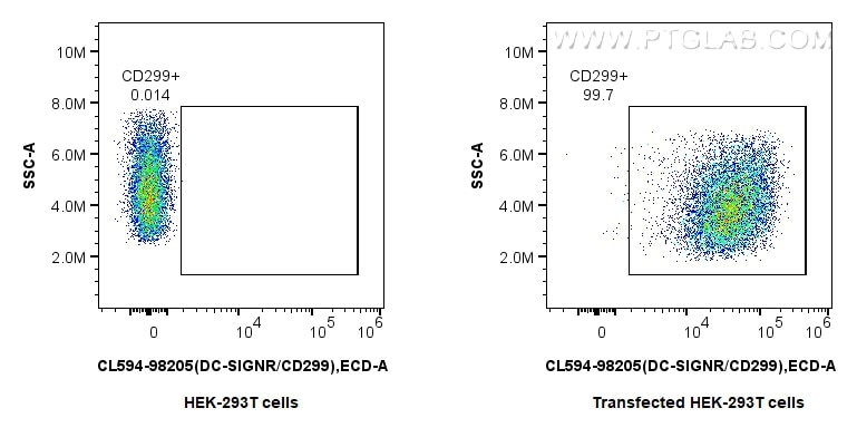 FC experiment of Transfected HEK-293T using CL594-98205 Flow cytometry (FC) experiment of Transfected HEK-293T cells using CoraLite®594 Anti-Human DC-SIGNR/CD299 Rabbit Reco (CL594-98205)