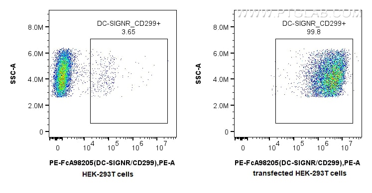 FC experiment of Transfected HEK-293T using PE-FcA98205 Flow cytometry (FC) experiment of Transfected HEK-293T cells using FcZero-rAb® PE Anti-Human DC-SIGNR/CD299 Rabbit Re (PE-FcA98205)