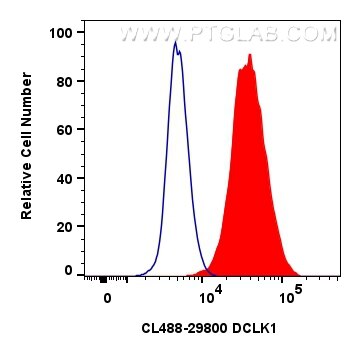 Flow cytometry (FC) experiment of Neuro-2a cells using CoraLite® Plus 488-conjugated DCLK1 Polyclonal ant (CL488-29800)