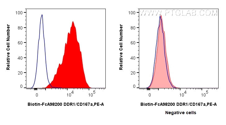 Flow cytometry (FC) experiment of MCF-7 cells using FcZero-rAb® Biotin Anti-Human DDR1/CD167a Rabbit R (Biotin-FcA98200)