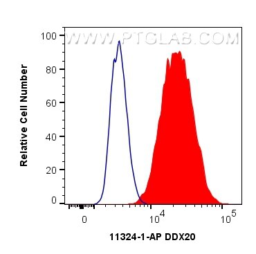 Flow cytometry (FC) experiment of HepG2 cells using DDX20 Polyclonal antibody (11324-1-AP)