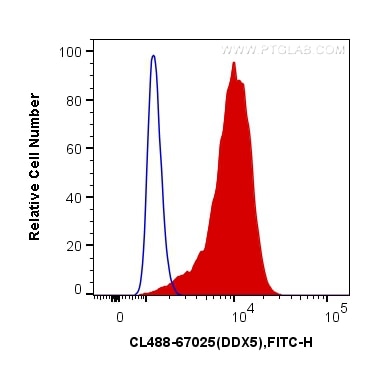 Flow cytometry (FC) experiment of HeLa cells using CoraLite® Plus 488-conjugated DDX5 Monoclonal anti (CL488-67025)
