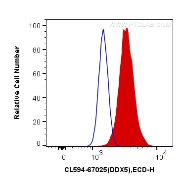 Flow cytometry (FC) experiment of HeLa cells using CoraLite®594-conjugated DDX5 Monoclonal antibody (CL594-67025)