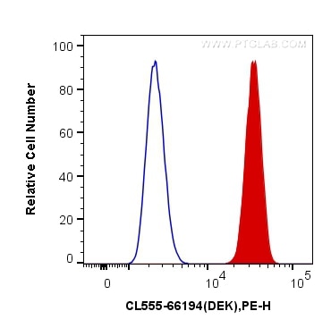 Flow cytometry (FC) experiment of HeLa cells using CoraLite®555-conjugated DEK Monoclonal antibody (CL555-66194)