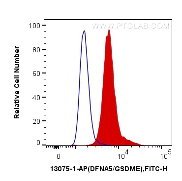 Flow cytometry (FC) experiment of SH-SY5Y cells using DFNA5/GSDME Polyclonal antibody (13075-1-AP)