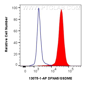 Flow cytometry (FC) experiment of SH-SY5Y cells using DFNA5/GSDME Polyclonal antibody (13075-1-AP)