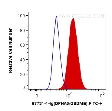 Flow cytometry (FC) experiment of SH-SY5Y cells using DFNA5/GSDME Monoclonal antibody (67731-1-Ig)
