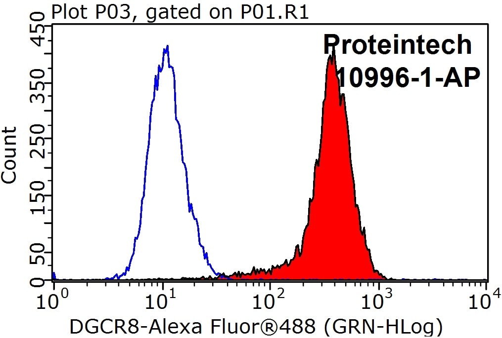 Flow cytometry (FC) experiment of HeLa cells using DGCR8 C-terminal Polyclonal antibody (10996-1-AP)