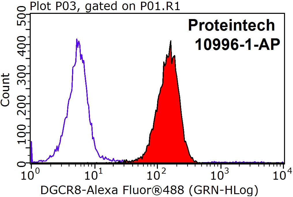 Flow cytometry (FC) experiment of SH-SY5Y cells using DGCR8 C-terminal Polyclonal antibody (10996-1-AP)