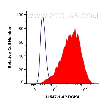 Flow cytometry (FC) experiment of HeLa cells using DGKA Polyclonal antibody (11547-1-AP)