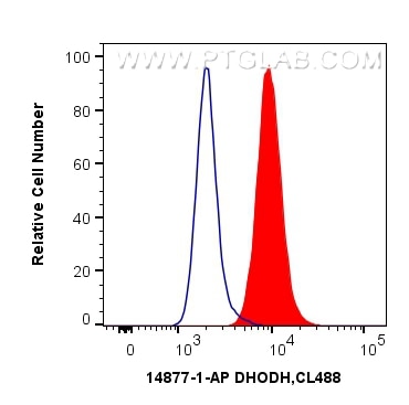 Flow cytometry (FC) experiment of HEK-293T cells using DHODH Polyclonal antibody (14877-1-AP)