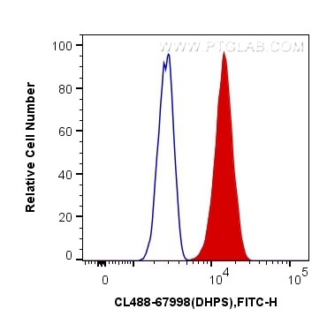 Flow cytometry (FC) experiment of HeLa cells using CoraLite® Plus 488-conjugated DHPS Monoclonal anti (CL488-67998)