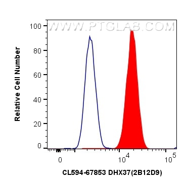Flow cytometry (FC) experiment of HeLa cells using CoraLite®594-conjugated DHX37 Monoclonal antibody (CL594-67853)