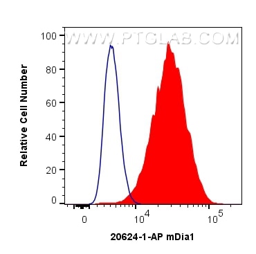 Flow cytometry (FC) experiment of HeLa cells using mDia1 Polyclonal antibody (20624-1-AP)