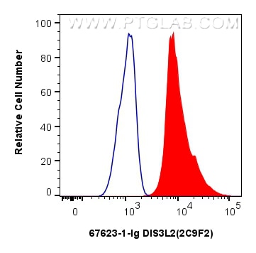 Flow cytometry (FC) experiment of Jurkat cells using DIS3L2 Monoclonal antibody (67623-1-Ig)