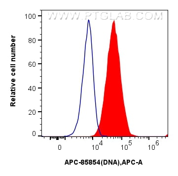 Flow cytometry (FC) experiment of HeLa cells using APC-conjugated DNA Recombinant monoclonal antibody (APC-85854)