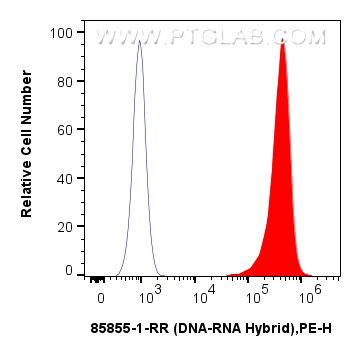 FC experiment of HEK-293T using 85855-1-RR Flow cytometry (FC) experiment of HEK-293T cells using DNA-RNA Hybrid Recombinant monoclonal antibody (85855-1-RR)