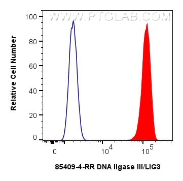 Flow cytometry (FC) experiment of Jurkat cells using DNA ligase III/LIG3 Recombinant monoclonal antibod (85409-4-RR)