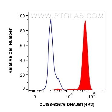 Flow cytometry (FC) experiment of HeLa cells using CoraLite® Plus 488-conjugated DNAJB1 Recombinant a (CL488-82676)