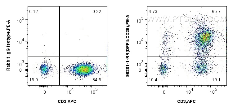 Flow cytometry (FC) experiment of human PBMCs using Anti-Human DPP4/CD26 Rabbit Recombinant Antibody (98261-1-RR)