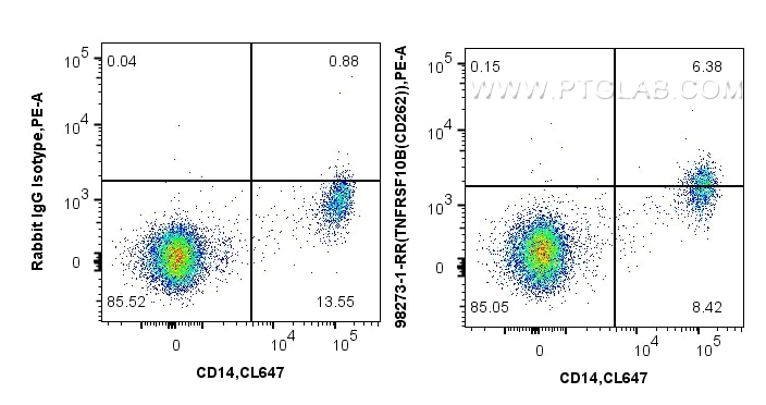 Flow cytometry (FC) experiment of human PBMCs using Anti-Human DR5/CD262 Rabbit Recombinant Antibody (98273-1-RR)