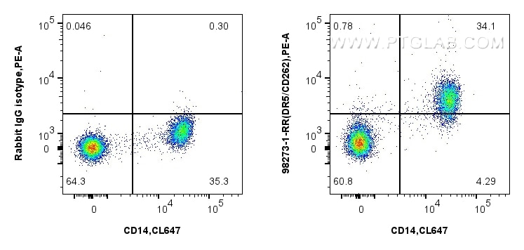 Flow cytometry (FC) experiment of human PBMCs using Anti-Human DR5/CD262 Rabbit Recombinant Antibody (98273-1-RR)