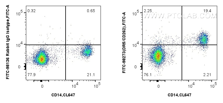 Flow cytometry (FC) experiment of human PBMCs using FITC Plus Anti-Human DR5/CD262 Rabbit Recombinant  (FITC-98273)